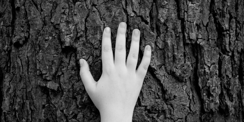 29165030451_27fb873fd0_b