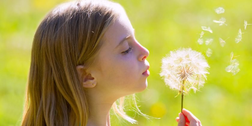 canstockphoto17389515