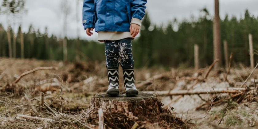 esta na hora de crescer