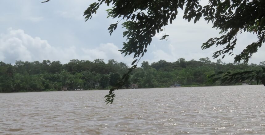 floresta amazonica